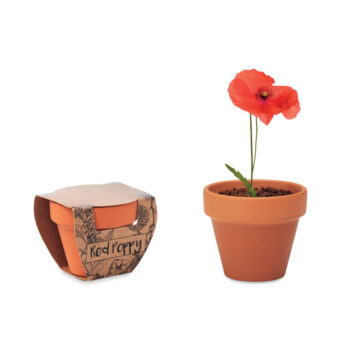 Petit pot en terre cuite contenant des graines de coquelicot. Fabriqué en UE.-Bois-8719941051829