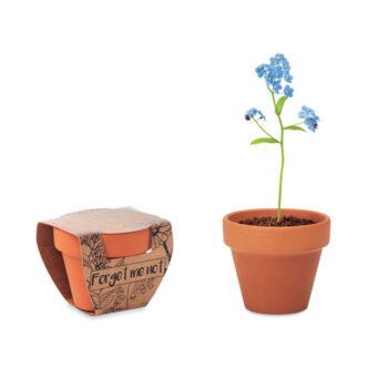 Petit pot en terre cuite contenant des graines de myosotis ''forget me not''. Fabriqué en UE.-Bois-8719941051805